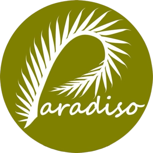 Paradiso logo